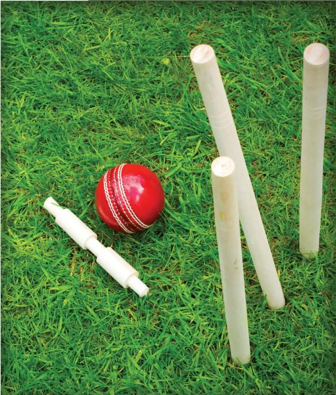 cricket pitch at merlin serenia